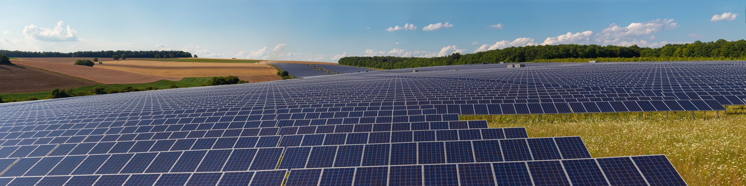 Waaree Renewable Technologies Ltd. Posts